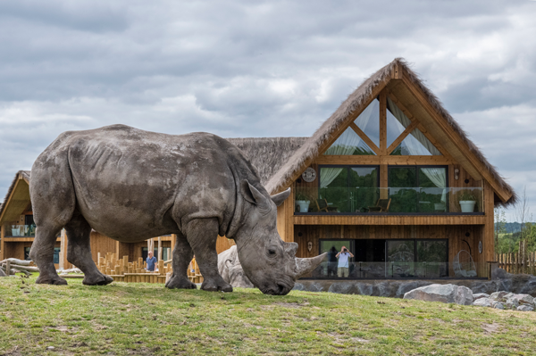 west midlands safari rhino lodge