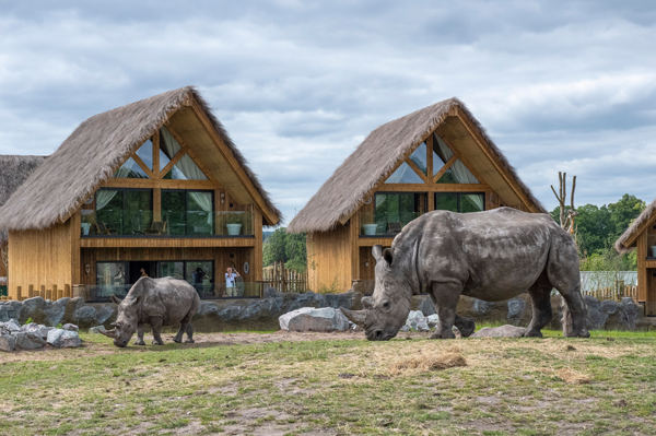 west midlands safari rhino lodge
