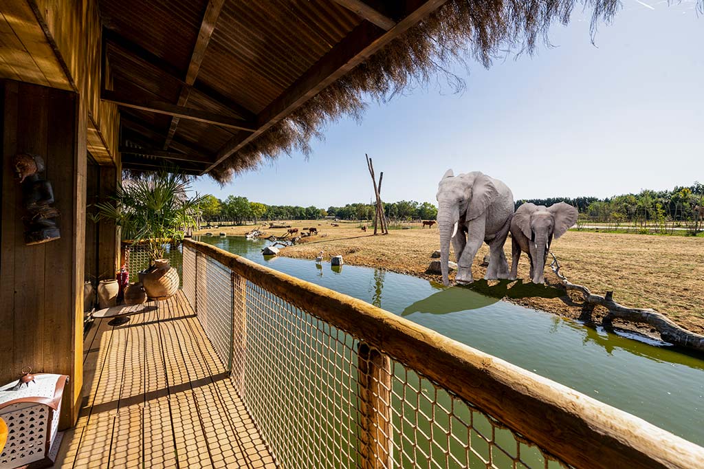 elephant safari uk