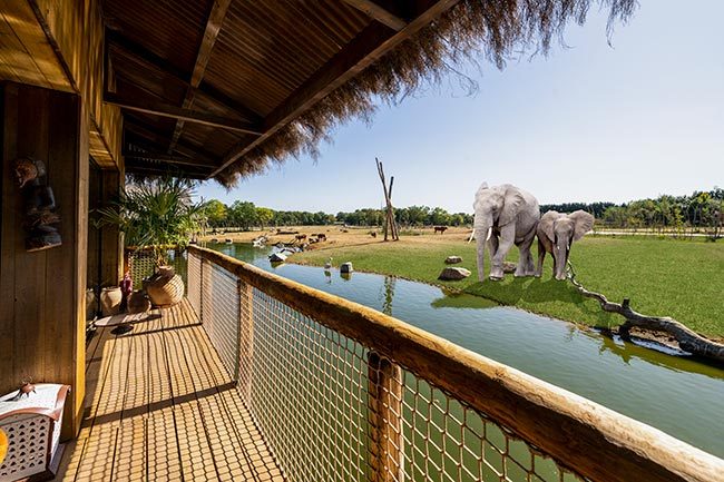 safari park you can stay at