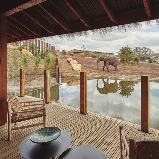 elephant safari park hotel